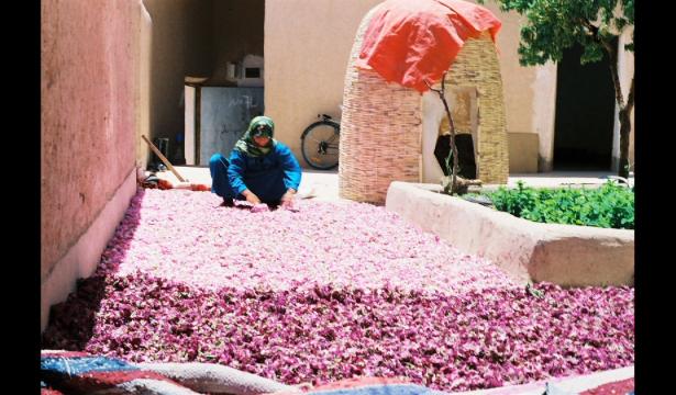 Parfum de roses